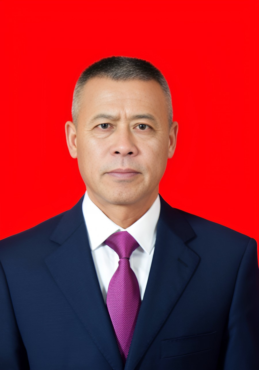 刘武健